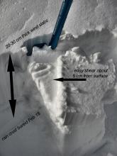 shear plane within the wind slab