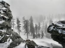 Fog near summit of Donner Pk, 20140304, 0830