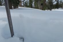 Near surface facets under a thin melt freeze crust near Gilmore Lake.