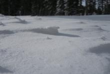 Wind affected snow near the base of Powderhouse. 