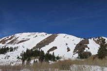 Little evidence of recent avalanche activity on south facing slopes of Red Lake Peak.