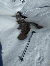 Debris left from water coming up out of the snowpack and flowing across the surface.