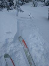 Small 4-6 inch wind slab on a NE facing wind loaded test slope.