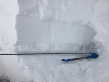 150cm HS, 40cm new snow, HCTN9@15cm, Basal Facets 