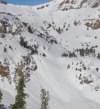 Warming related avalanche activity, wet loose off slopes on left and right, and likely cornice break at top. 