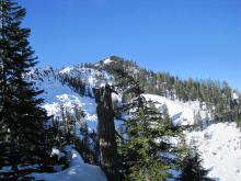 Coverage on North aspects along the ridge.