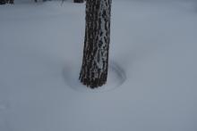 Below 8000 new snow had not yet filled in tree wells.