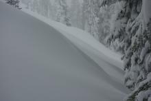 Wind loading and drifts forming just above tree line.