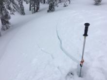 40' long shooting cracks in wind loaded terrain.