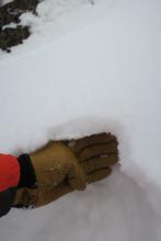 2-3cm crust over softer snow