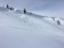 Debris from small wind slab avalanche along the summit ridge. A few days old.