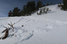 During the afternoon, sunny aspects around 10,000 feet steep rolls consistently produced wet slides in response to ski turns.