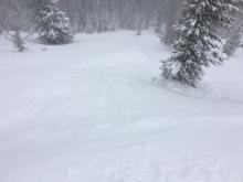 Debris from intentionally skier triggered wind slab.