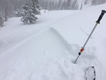 Triggered wind slab at 9100', N aspect, 6-8'' deep. 