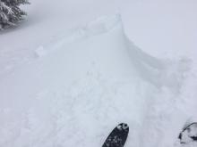 Triggered wind slab, N aspect, 9100', 8-12'' deep.