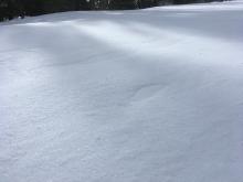 Snow that had been redistributed by the wind.