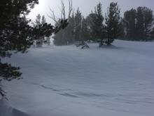 Sastrugi and blowing snow near peak.