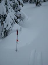 Settlement cracks around trees in sheltered below treeline terrain.