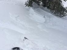 Debris from wind loaded test slope that failed