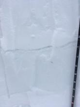 Roughly 70 cms of new snow was present at 9000 on Powderhouse sitting on top of a firm but still wet layer.