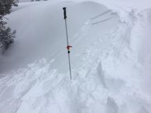 Small reactive wind slab on W aspect, 8200', 2-6'' deep.