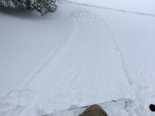 Loose snow slide beneath skin track on steeper below treeline terrain.