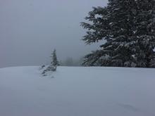 Strong ridgetop winds were blowing snow onto the lee slopes below.