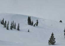 mall natural avalanche on east facing cross loaded slope.