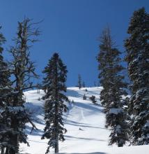 A natural loose dry avalanche on a steep slope just below the summit ridge. 