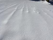 Surface hoar growing on a rain runneled flat aspect at 7600 feet. 