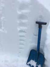 Quick snow pit in an opening in below treeline terrain showed soft new snow (fist hard) transition to harder old snow (4 finger to 1 finger).