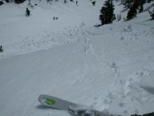 Debris from large ski-cut-triggered pinwheels and roller balls.