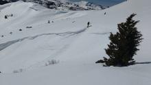 Minor amounts ov skier triggered roller balls at 8,900' on SE aspect gully wall at 11:30am.