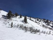 Rough snow texture from previous wind and avalanche debris.