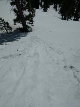 Loose wet sluff triggered by a ski cut on a S aspect at 6900 ft. @ noon.