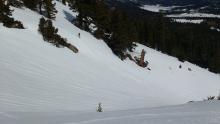 Intertionally skier triggered small loose wet avalanche on SE aspect at 8,200' at 12:15pm.