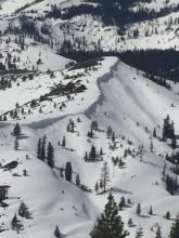 Recent cornice fall, on E aspect at 7100'