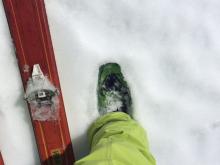 Boot pen of 4-6'' at 8200', S aspect, at 11:30am.