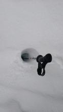 Ski pole probe through 4 inches of surface crust into deep, not refrozen wet snow.