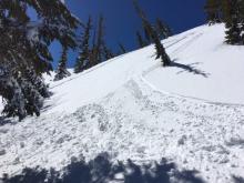 Intentionally skier triggered wet loose avalanche.  E aspect, 40 degree convexity, sliding on m/f crust.
