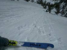 Small skier triggered loose wet instabilities on a SE aspect at 9700 ft. at 11:45 am