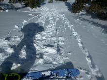 Small skier triggered roller balls and pinwheels on a NW-N aspect at 8700 ft. at 12:15 pm