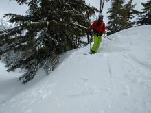 14 to 16 inch deep wind slab on a small SW facing wind loaded test slope in an open area near or below treeline.