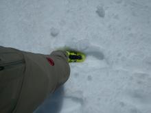 2 to 4 inches of corn snow on top of a thin melt-freeze crust on a ESE aspect at 8000 ft. around 11:10 am