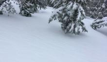 Wind effected snow surface in a below tree line opening. 