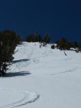 Ski-cut-triggered loose wet avalanche on a SE-S aspect at 2 pm