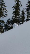Skier triggered roller ball, ~2.5 ft diameter.