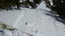 Ski cut placed on test slope just after roller ball video was taken produced this shallow loose wet avalanche.