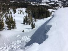 Natural cornice collapse at 8000', E aspect, observed at 2:45pm.