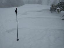 Variable conditions with scoured crusts and dense "punchy" wind blown snow.